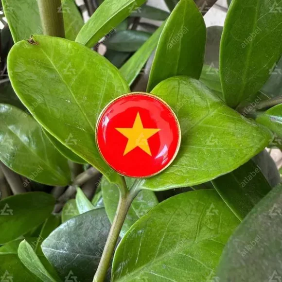 Huy hiệu phôi sẵn lá cờ Việt Nam