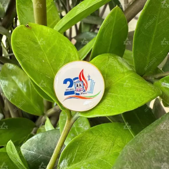 Huy hiệu phôi sẵn cho trường học